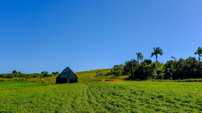 MS-20160218-00882 Plantação e cultivo de tabaco na região de Viñales.