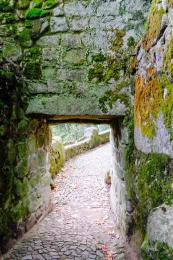 MS-20151028-01131 Castelo dos Mouros.