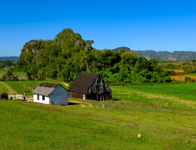 Viñales A região do tabaco