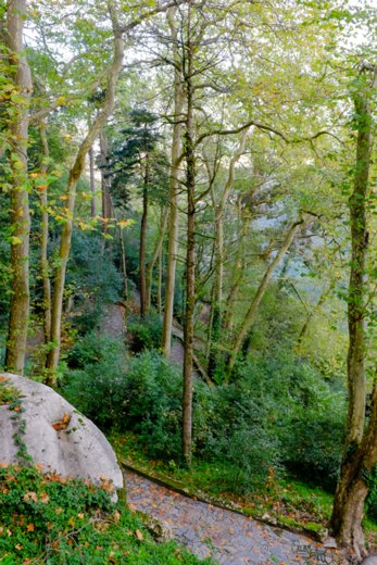 MS-20151028-01136 Castelo dos Mouros.